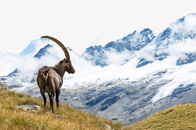 高山景色五png免抠素材_88icon https://88icon.com 美丽 自然 风景 高山