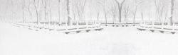 白色冬日美景公园素材