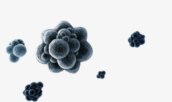 显微镜下的病毒分裂的细胞高清图片