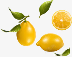 果汁店柠檬橙绿黄海报矢量图素材
