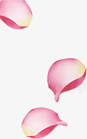 粉色温馨花瓣漂浮素材