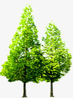 夏季绿色大树景观素材