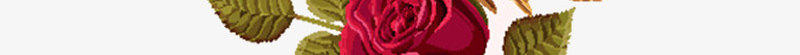 漂浮红色玫瑰花边框png免抠素材_88icon https://88icon.com 头像边框 悬浮红色玫瑰花边框 玫瑰花边框 红色玫瑰花