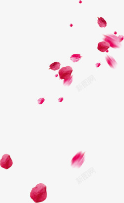 飞溅的花瓣飞溅模糊漂浮红色花瓣高清图片