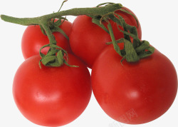番茄新鲜西红柿圣女果素材