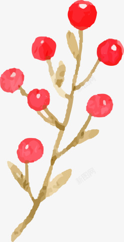 圣诞节卡通植物水果装饰图案素材