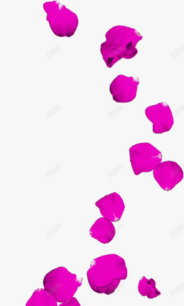紫色美丽花瓣漂浮png免抠素材_88icon https://88icon.com 漂浮 紫色 美丽 花瓣