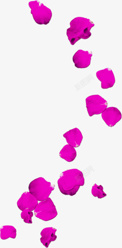紫色美丽花瓣漂浮素材