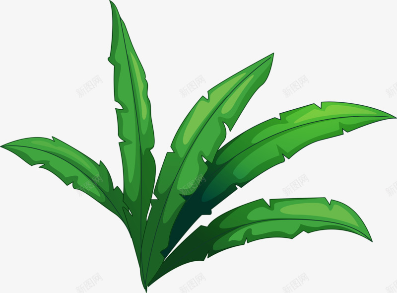 一株小草png免抠素材_88icon https://88icon.com 植物 绿化 绿叶 绿色 花卉