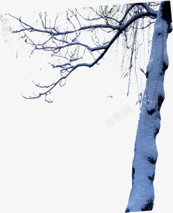 冬日水墨大树树枝素材
