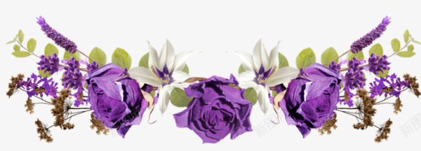 紫色玫瑰花png免抠素材_88icon https://88icon.com 手绘 漂浮 玫瑰花 紫色 鲜花