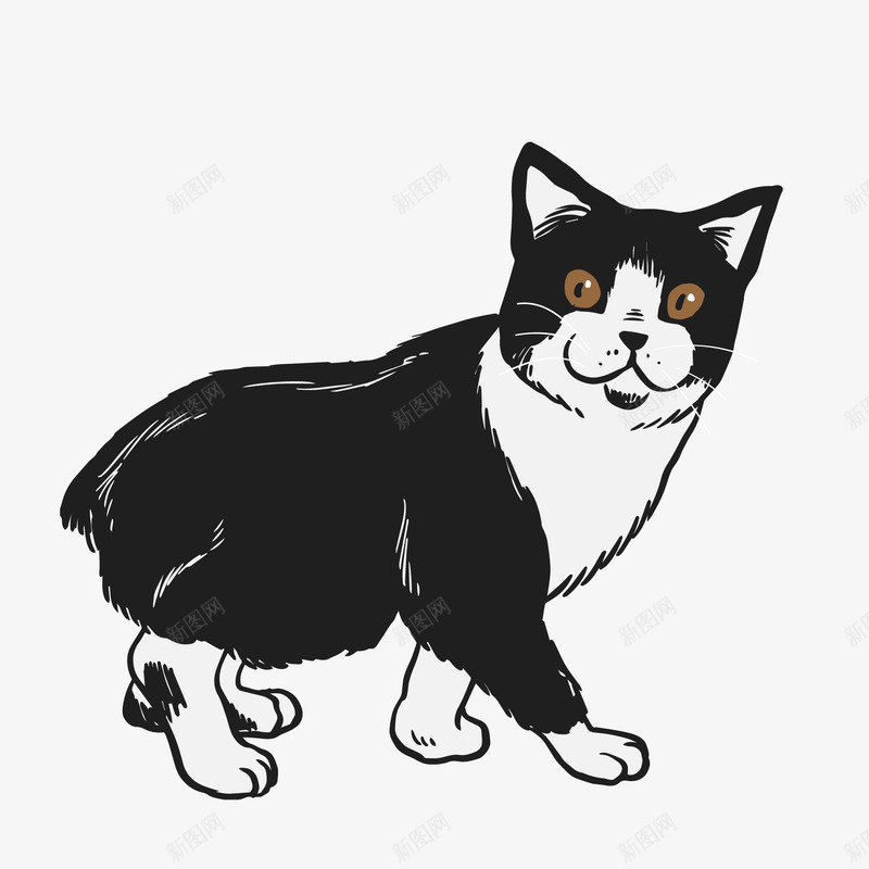 卡通黑猫矢量图ai免抠素材_88icon https://88icon.com 动物 动物插画 卡通 卡通动物 可爱动物 小动物 黑猫 矢量图