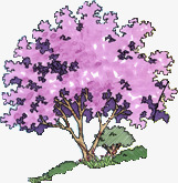 紫色唯美植物大树素材