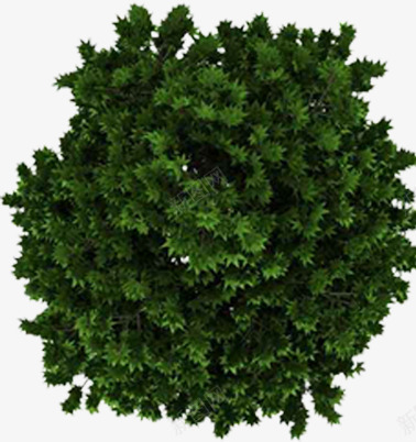 创意合成绿色的植物大树效果png免抠素材_88icon https://88icon.com 创意 合成 大树 效果 植物 绿色