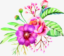 手绘唯美美丽花朵花苞植物素材
