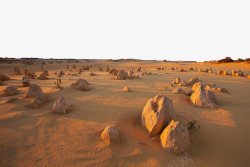 骸骨美丽的沙漠高清图片