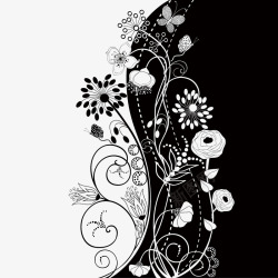 精美黑白花朵装饰素材