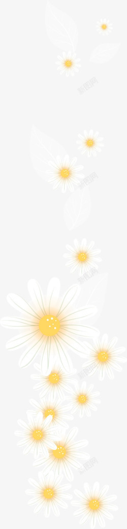 黄蕊白色的鲜花高清图片