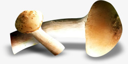 卡通蔬菜食物图案精品蘑菇素材