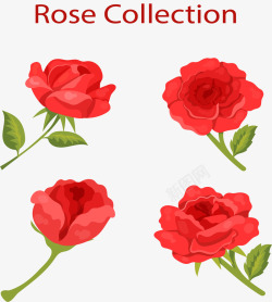 4款美丽红色玫瑰花矢量图素材