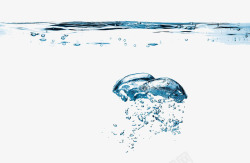水母PNG矢量图像水母一般的氧气气泡高清图片