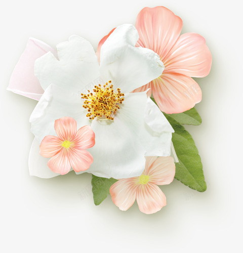 漂浮的蔷薇花png免抠素材_88icon https://88icon.com 手绘 漂浮 白色 蔷薇花 鲜花