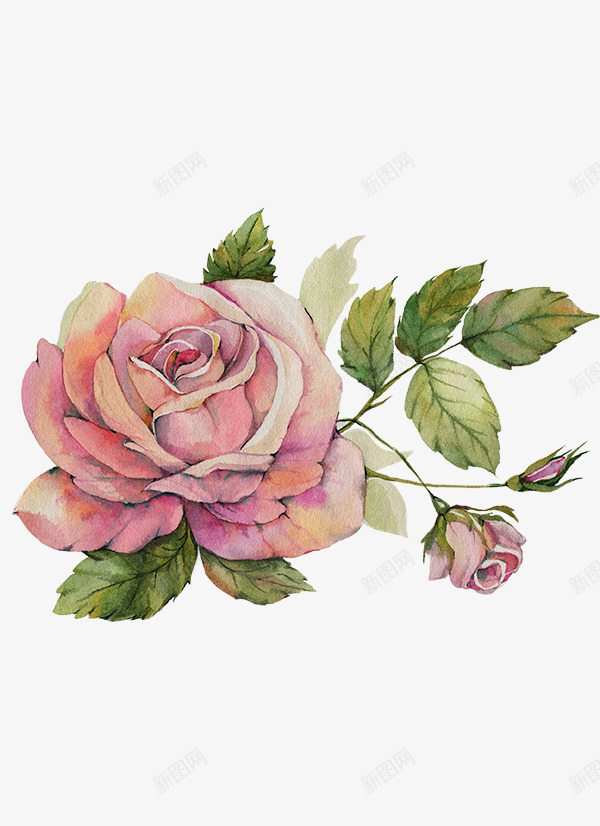 手绘水彩植物花卉png免抠素材_88icon https://88icon.com 布料印花 手绘花卉 水彩 绿叶 美丽花朵 花朵 装饰花卉