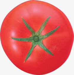 番茄西红柿圣女果素材