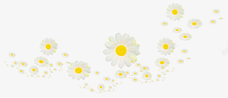漂浮的贡菊png免抠素材_88icon https://88icon.com 手绘 漂浮 白色 菊花