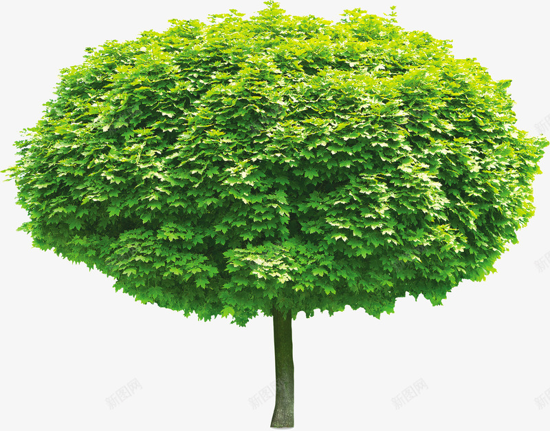 环保春天踏青大树png免抠素材_88icon https://88icon.com 大树 春天 环保 踏青