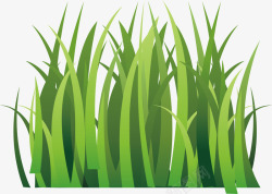 绿色的球场草坪插画矢量图素材