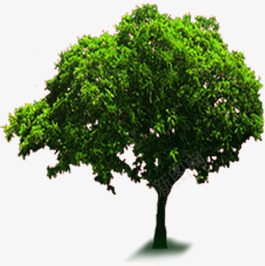 创意合成绿色的大树造型png免抠素材_88icon https://88icon.com 创意 合成 大树 绿色 造型