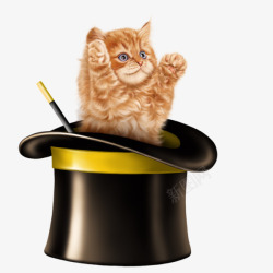 魔术师魔术帽里的可爱小猫咪高清图片