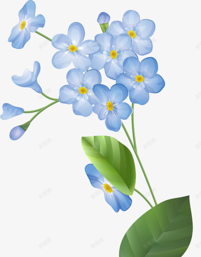 春暖花开蓝色花朵png免抠素材_88icon https://88icon.com 一簇花朵 春季 春暖花开 绿色叶子 美丽花朵 蓝色花朵