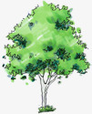 手绘绿色圆形大树植物素材