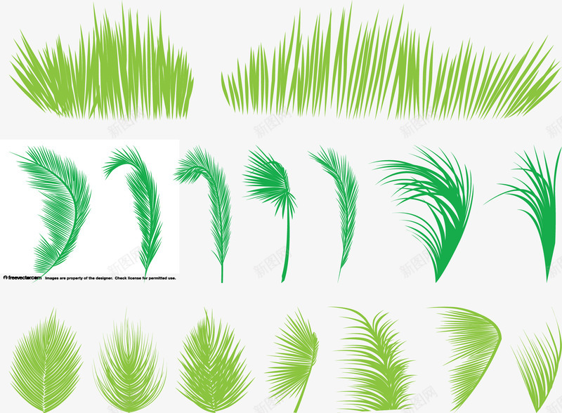 棕榈树叶和小草png免抠素材_88icon https://88icon.com 小草 树叶 棕榈 绿色