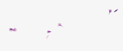 紫色蒲公英漂浮花瓣高清图片