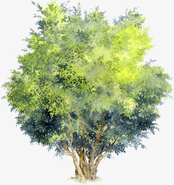 手绘夏季黄绿色大树素材