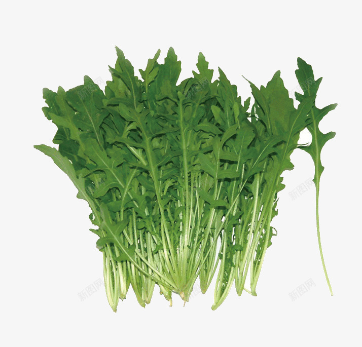茼蒿png免抠素材_88icon https://88icon.com 有机蔬菜 茼蒿 蔬菜 食物