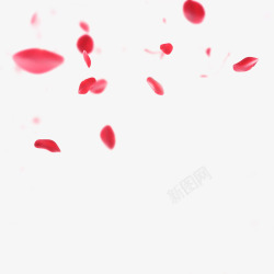 海报红色花瓣效果漂浮素材