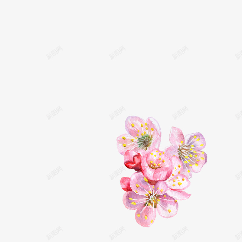 卡通手绘美丽的桃花png免抠素材_88icon https://88icon.com 创意 动漫动画 卡通手绘 粉色 美丽的桃花 花朵