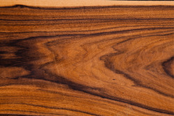 木纹公共环保木材矢量图素材