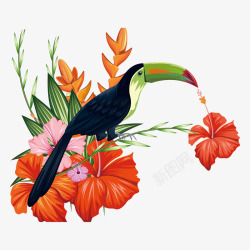 母亲节大嘴鹦鹉和花朵装饰插画矢量图素材