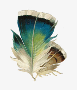 漂浮花瓣气泡简洁大方素材