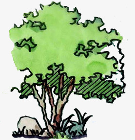 手绘绿色景观公园大树装饰png免抠素材_88icon https://88icon.com 公园 大树 景观 绿色 装饰