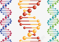 遗传学研究染色体彩色卡通插画高清图片