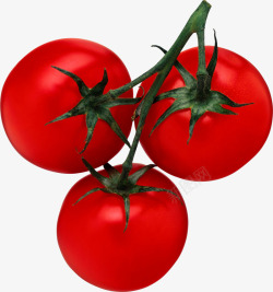 新鲜圣女果西红柿番茄素材