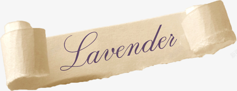 Lavenderpng免抠素材_88icon https://88icon.com 标签 纸张 羊皮卷纸 英文