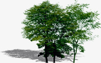 创意摄影绿色的大树合成素材