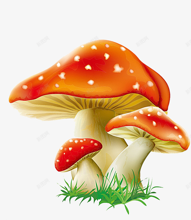 红蘑菇png免抠素材_88icon https://88icon.com 卡通 小草 手绘 红菇 蘑菇